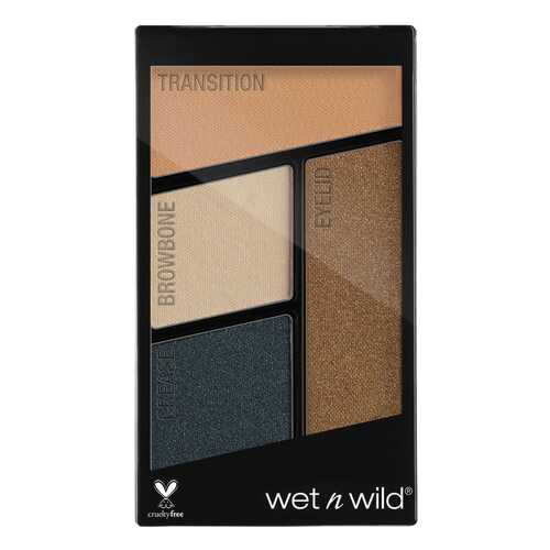 Тени для век Wet n Wild Color Icon Eyeshadow Quad E343b Hooked On Vinyl 4,5 г в Подружка
