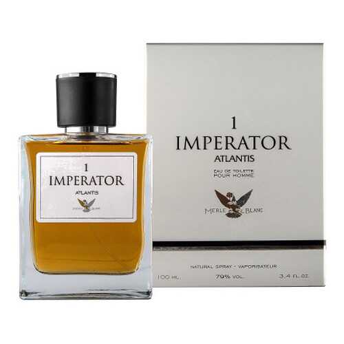 Туалетная вода Понти Парфюм Imperator Atlantis 1, 100 мл в Подружка