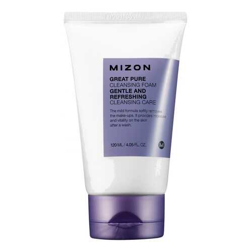 Средство для умывания MIZON Great Pure Cleansing Foam 120 мл в Подружка